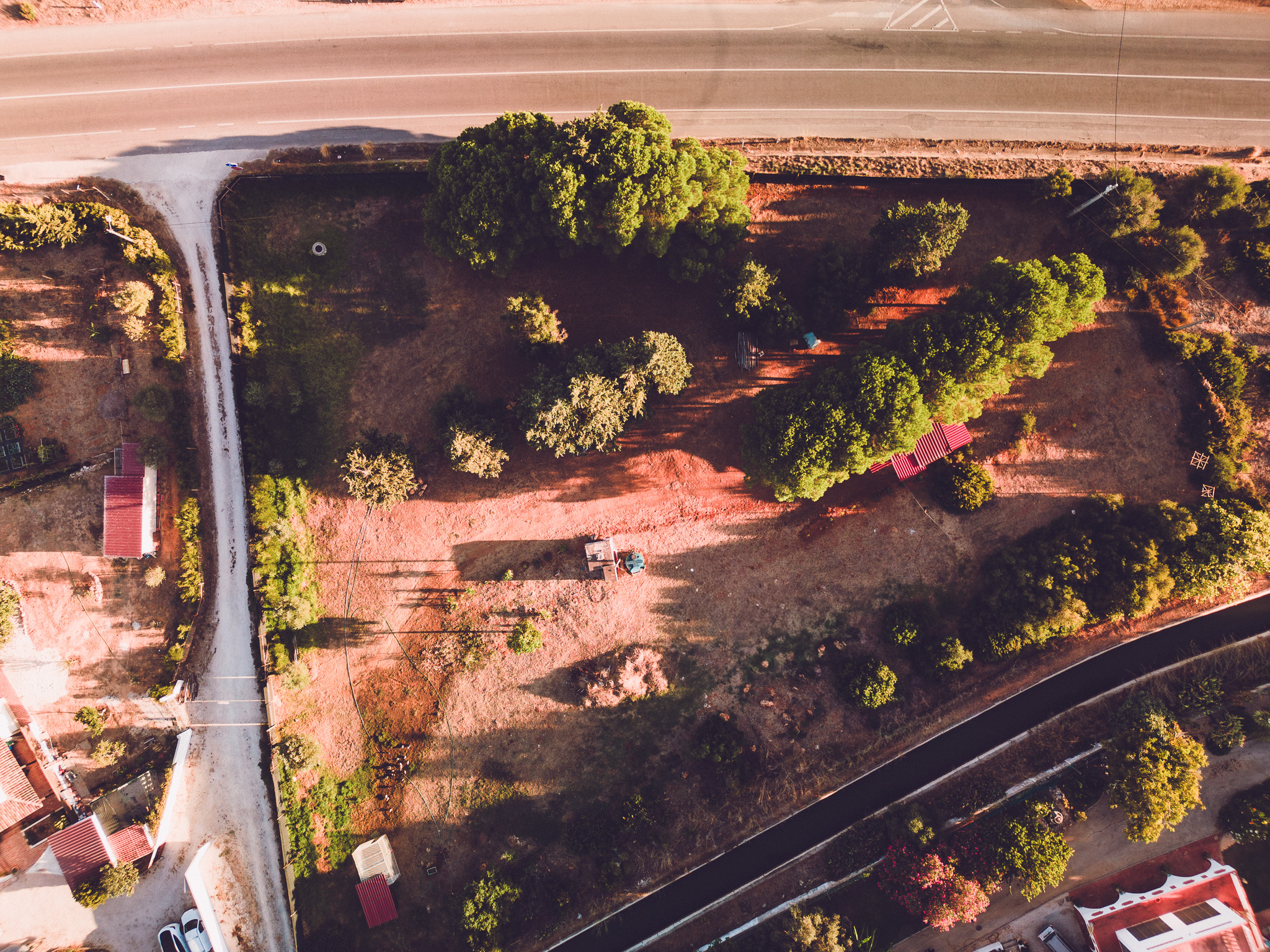 Aerial view of the fenced plot with trees and open space for dogs to run