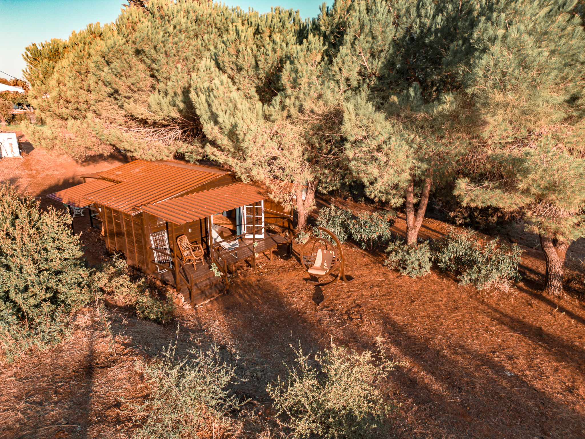 Aerial view of the Wooden Cabin among pine trees