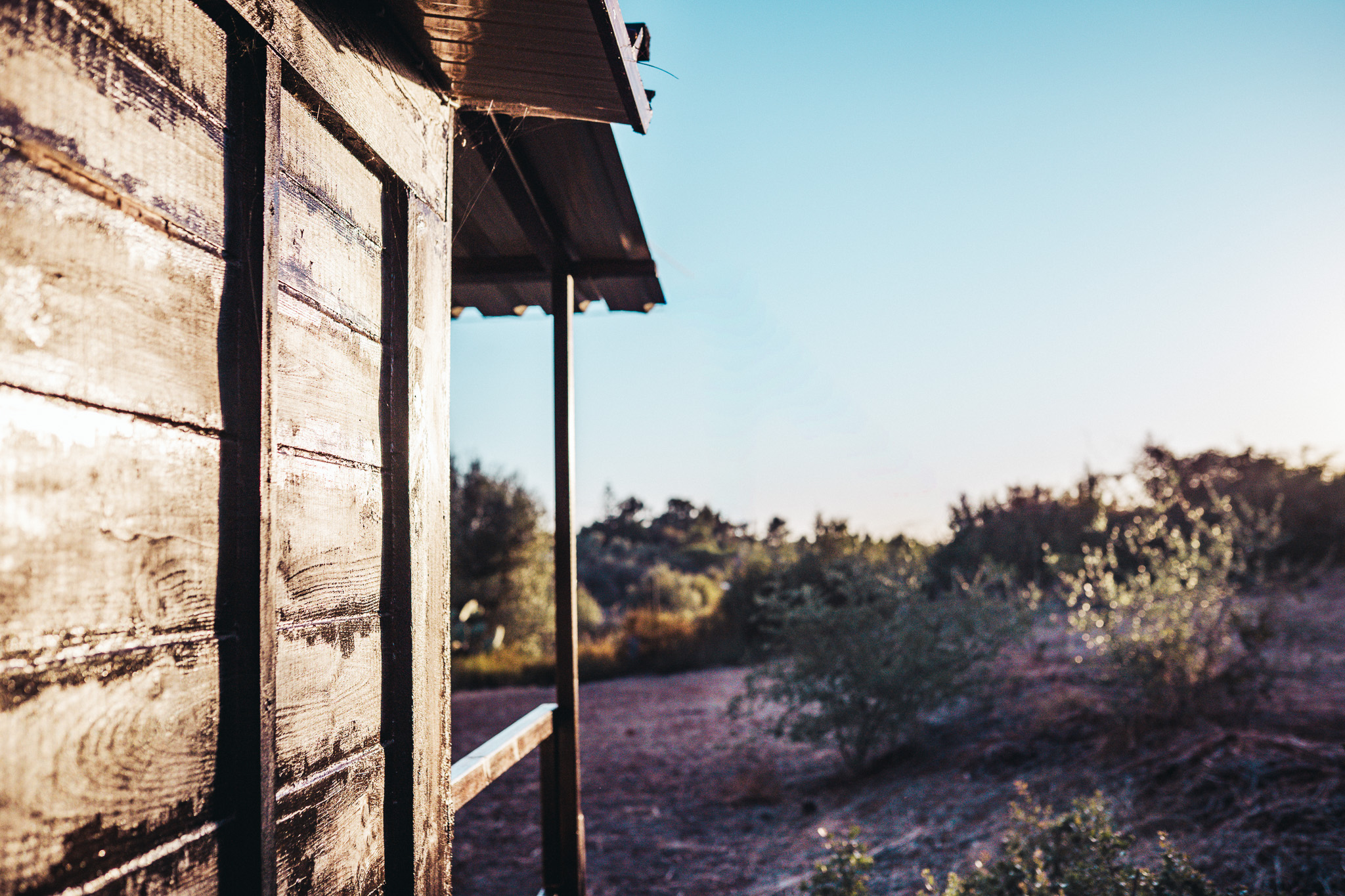 Cabin timber wall and garden at sunset