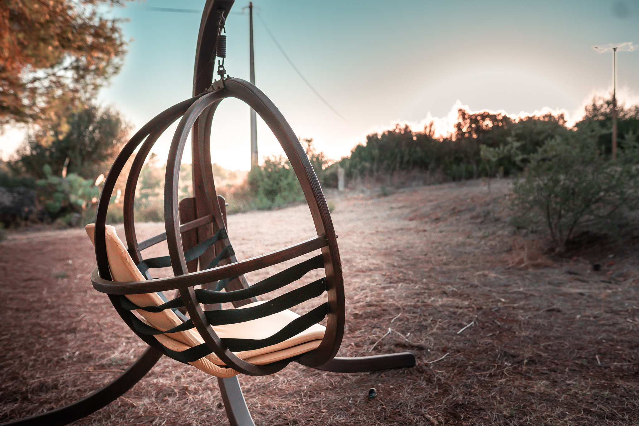 Hanging swing chair in the garden at sunset